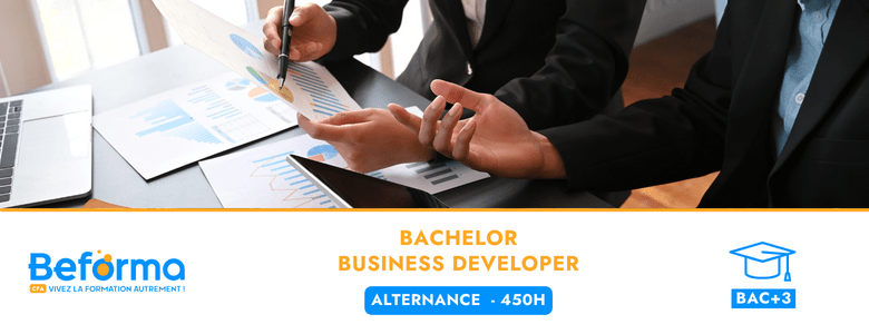 Bachelor Business developer (BAC+3)